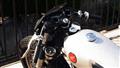 [GREEDmotorcycle]　SR400/made.20120401